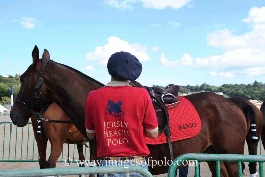 A new Arena for the future of polo...