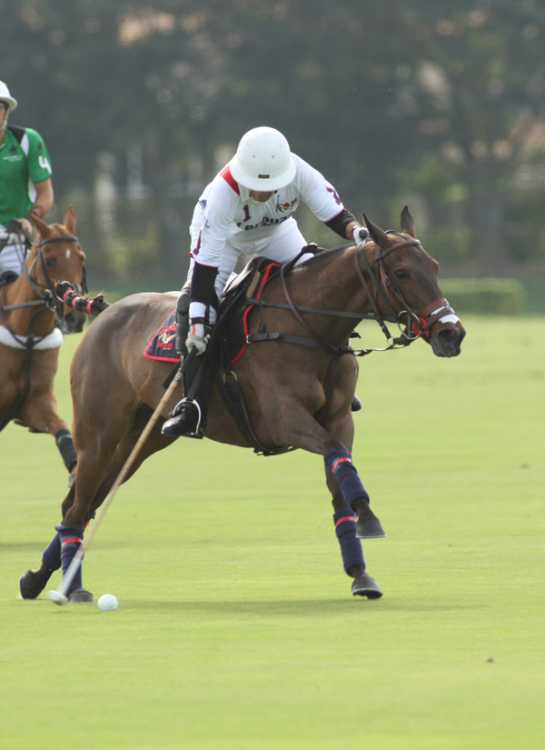 Villa Del Lago and Lechuza Caracas. 