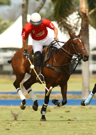 alexpachecopolo photos polo top polo tournament goose creeksanta clara poloteam 4