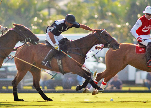 Gold Cup Photos Zacara vs. Coca-Cola 