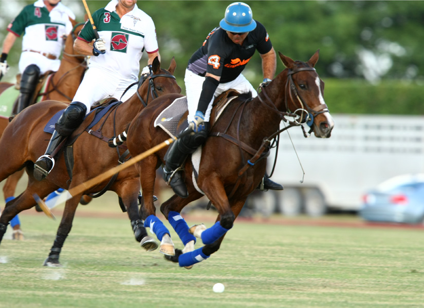 USPA National 20goalPalm Beach EquineCasablanca Photos by Alex Pacheco 4
