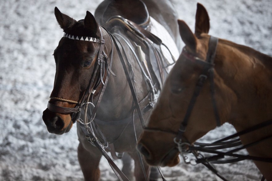 Morgane DelfosseValdiser2013polomagazinefrenchpolofrancepolotournamentpolotour 93
