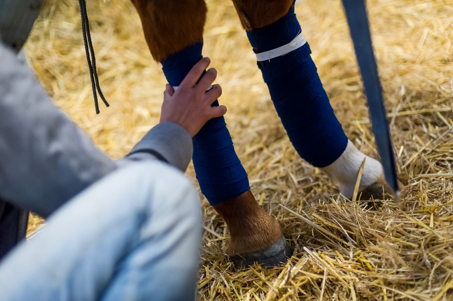 andyparantvillagephotovaldiserepolotourpolomagazinepolomastersfrenc 7