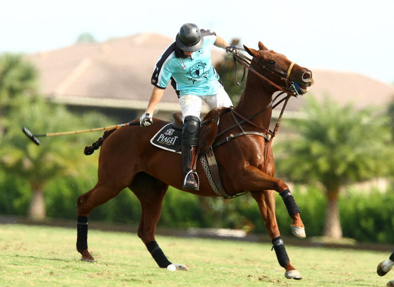 fallplateusapolomagazinethepolomagazinetournamentpachecophotos 4