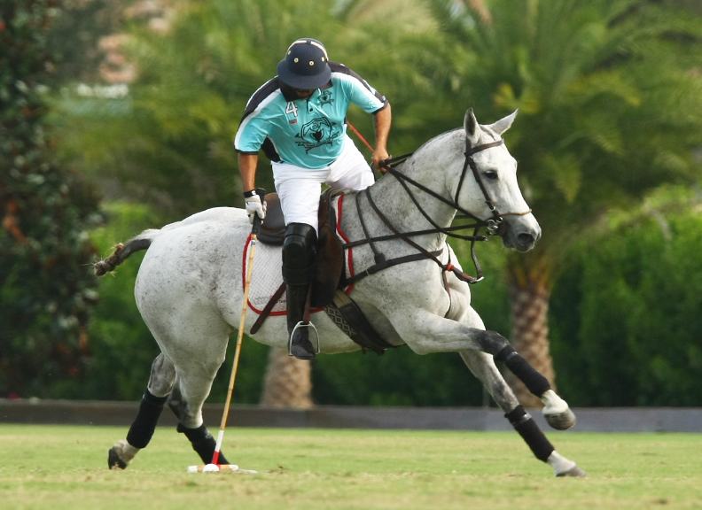 fallplateusapolomagazinethepolomagazinetournamentpachecophotos 8