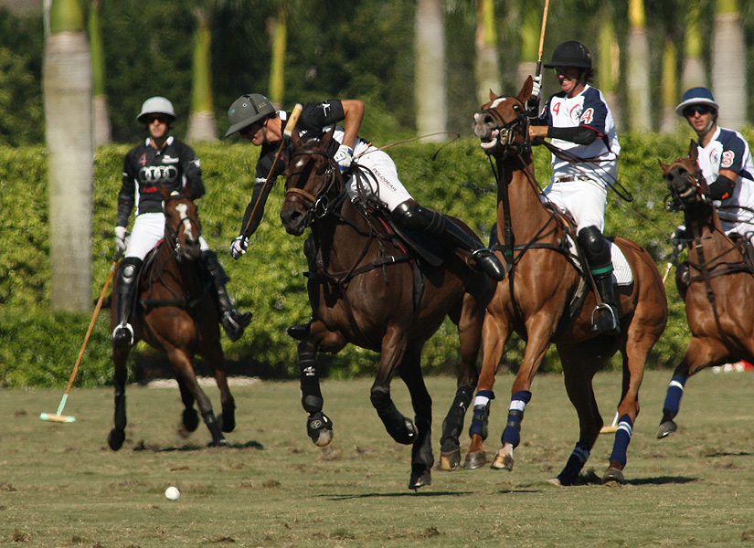 Photos-Audi 13, CT Energia 12