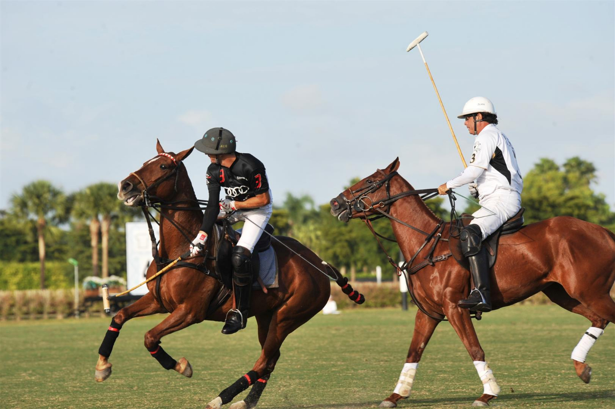 Polo Will Never be the Same