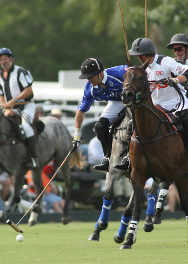 polo mag usopen valiente erg 4