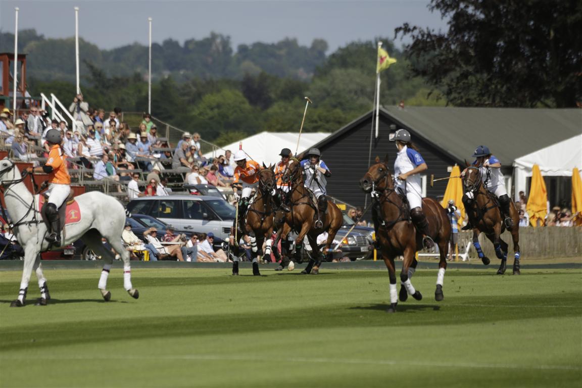 BLOOM Action front Grandstand CB Medium