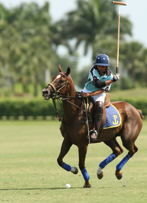 casablanca polo tournament polo cup polo club 1