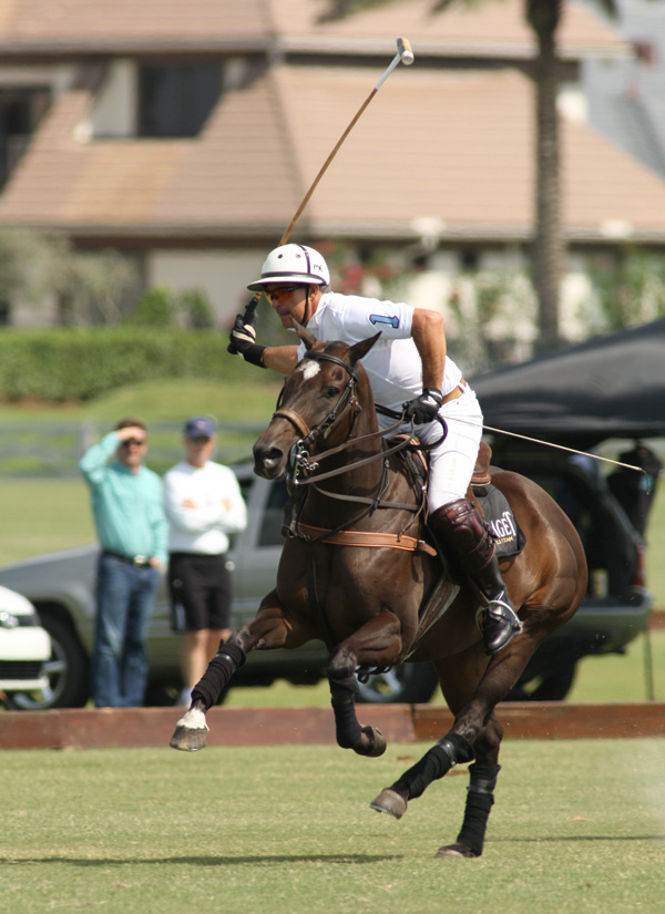 casablanca polo tournament polo cup polo club 2