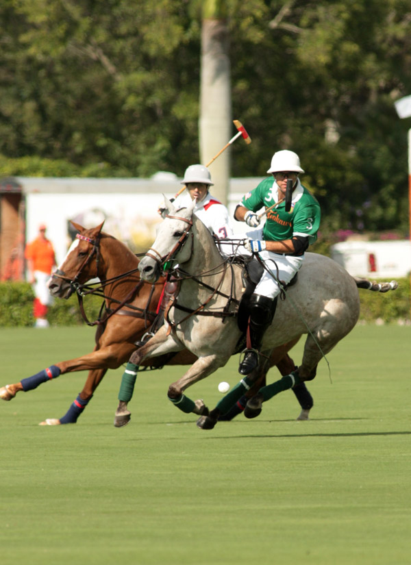 Photos-Tonkawa 13, Lechuza Caracas 12