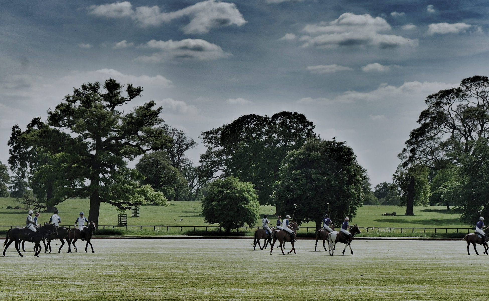 OXFORD Polo Tutition