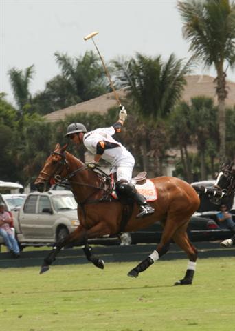 polo magazine polophotos alex pacheco us open florida ipc polo club erg polo team audi polo team 6